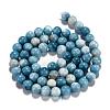 Natural Gemstone Beads Strands G-L367-01-8mm-6