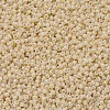 MIYUKI Round Rocailles Beads X-SEED-G007-RR0487-3