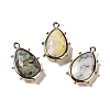 Natural African Opal Pendants G-B009-02G-R-1