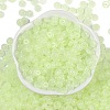 Transparent Colours Glass Seed Beads X1-SEED-P008-01B-03-3