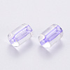 Transparent Acrylic Beads TACR-S154-17A-47-2
