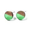Transparent Resin & Walnut Wood Stud Earrings EJEW-N017-008-A02-2