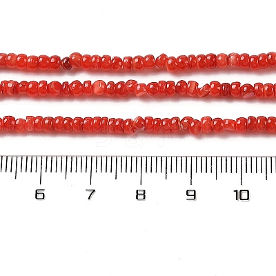 Natural Freshwater Shell Beads Strands SHEL-P017-01B-07-1