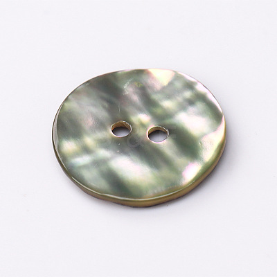 Abalone Shell/Paua Shell BSHE-I011-04A-1