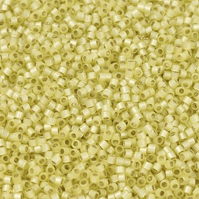 MIYUKI Delica Beads X-SEED-J020-DB0623-1