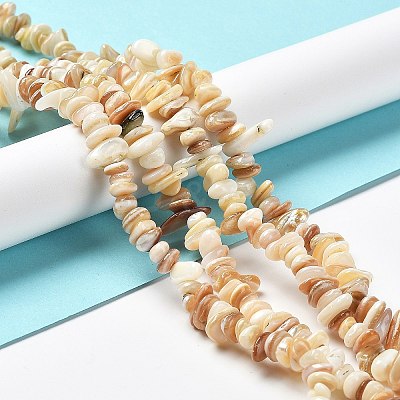 Natural Freshwater Shell Beads Strands G-M205-85B-1
