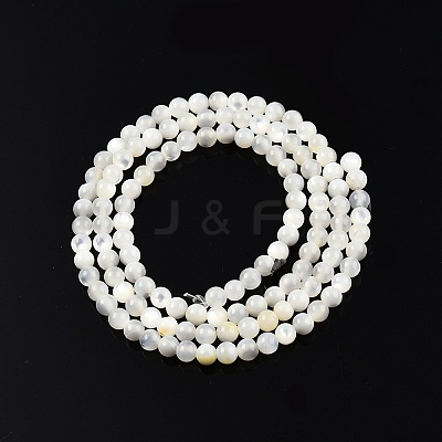 Natural White Shell Bead Strands X-SSHEL-N003-144C-01-1