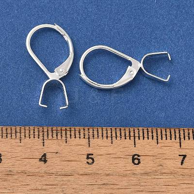 Ion Plating(IP) 304 Stainless Steel Leverback Earring Findings STAS-U025-01S-01-1