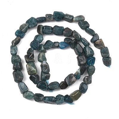 Natural Apatite Beads Strands G-F821-F01-01-1