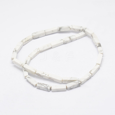 Natural Howlite Beads Strands X-G-E342-15-1