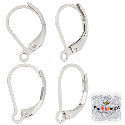 100Pcs 2 Style 304 Stainless Steel Leverback Earring Findings STAS-BBC0004-16-1