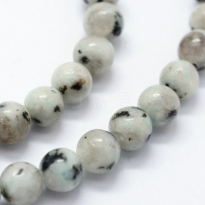 Natural Sesame Jasper/Kiwi Jasper Beads Strands G-I199-29-12mm-1