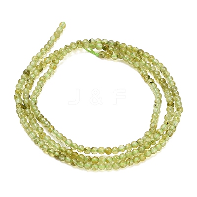 Natural Peridot Beads Strands G-A322-A07-2mm-1