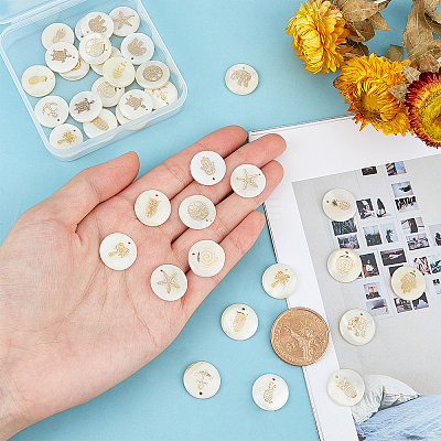 40Pcs 10 Style Natural Freshwater Shell Pendants SHEL-PH0001-20-1