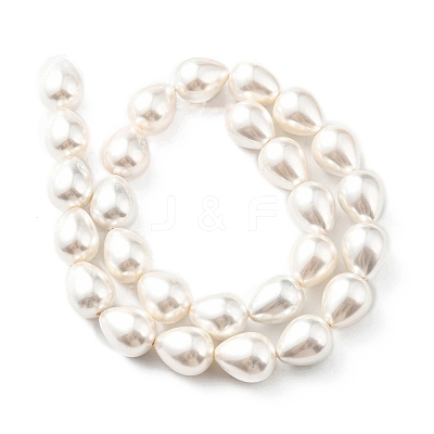 Teardrop Shell Pearl Bead Strands BSHE-L015-12x16-01-1