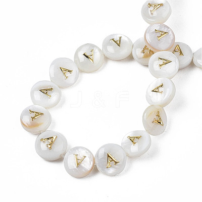 Natural Freshwater Shell Beads SHEL-S276-168A-1