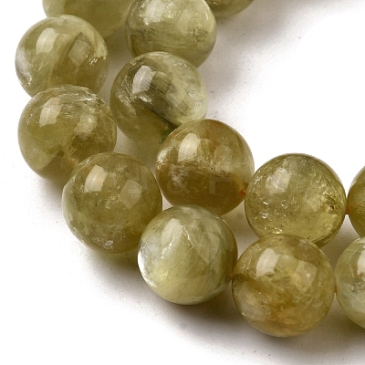 Natural Lepidolite Beads Strands G-F799-B02-12mm-1