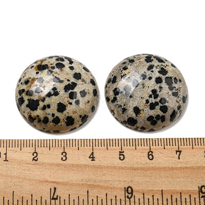 Natural Dalmatian Jasper Cabochons G-C115-02B-21-1