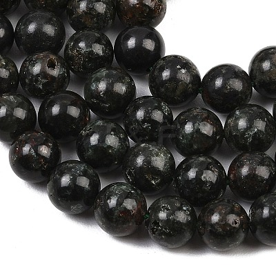 Natural Seraphinite Beads Strands G-H337-A03-04-1