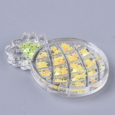 Transparent Acrylic Pendants TACR-R145-02-1