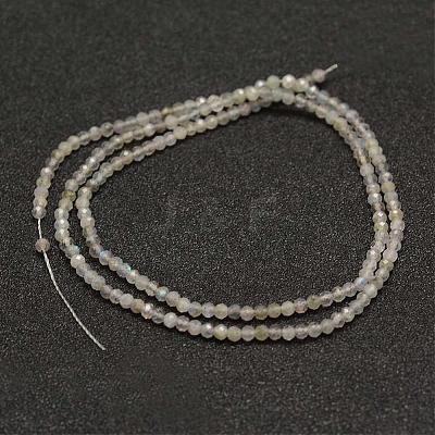 Natural Labradorite Beads Strands G-K182-2mm-25B-1