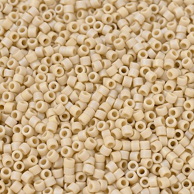 MIYUKI Delica Beads SEED-X0054-DB1591-1