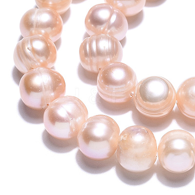 Natural Cultured Freshwater Pearl Beads Strands PEAR-N013-07L-1