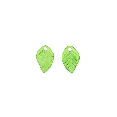 Transparent Acrylic Charms TACR-T012-04-1