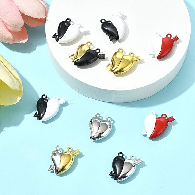 10 Sets Spray Painted Alloy Magnetic Pendants FIND-FS0004-24-1