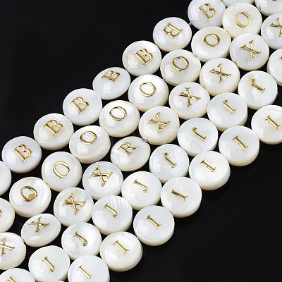 Natural Freshwater Shell Beads SHEL-S276-168-1