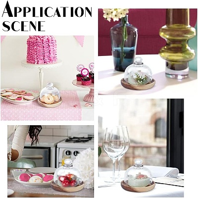 Clear Glass Dessert/Cake Cloche Dome Display Cases ODIS-WH0029-30-1