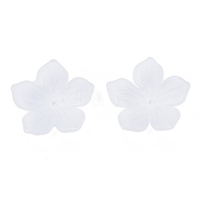 Transparent Acrylic Beads FACR-N005-004-1