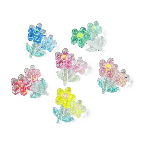 Translucent Resin Cabochons RESI-E039-27-1