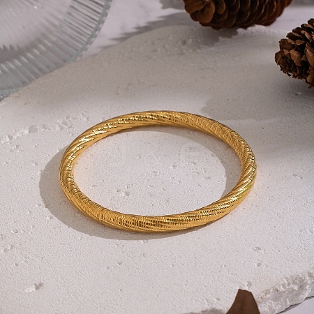 Vintage 304 Stainless Steel Plain Bangles for Women DV1538-1-1