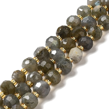 Natural Labradorite Beads Strands G-P508-A20-01-1