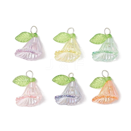 6Pcs Transparent Acrylic Pendants PALLOY-JF03288-02-1