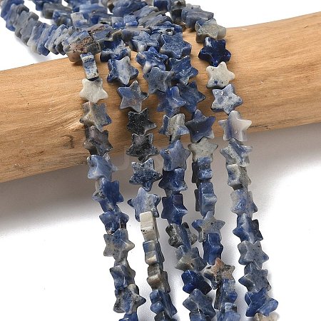 Natural Sodalite Beads Strands G-F817-A08-01-1