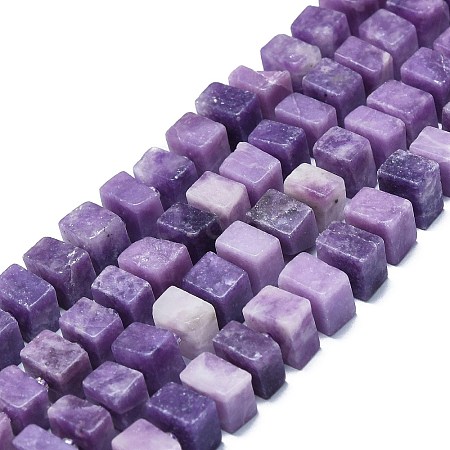 Natural Lepidolite/Purple Mica Stone Beads Strands G-K245-F01-05-1