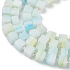 Handmade Lampwork Beads LAMP-B022-01R-3