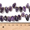 Natural Amethyst Beads Strands G-P604-A16-01-3