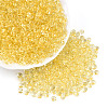 3/0 Baking Paint Glass Fringe Seed Beads SEED-A034-04A-3