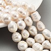 Natural Cultured Freshwater Pearl Beads Strands PEAR-P062-23-2