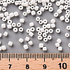 12/0 Glass Seed Beads X2-SEED-A010-2mm-41-3