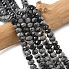 Natural Snowflake Obsidian Bead Strands G-D344-A13-1