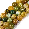 Natural Dragon Veins Agate Beads Strands G-Q606-42B-D02-2