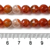 Dyed & Heated Natural Fire Crackle Agate Beads Strands G-P539-B01-19-5