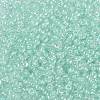 8/0 Glass Seed Beads X1-SEED-A015-3mm-2213-2