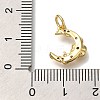 Rack Plating Brass Micro Pave Cubic Zirconia Charms KK-I720-61G-3