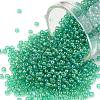 TOHO Round Seed Beads SEED-TR11-0164B-1