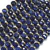 Natural Sodalite Beads Strands G-K389-E43-01-1